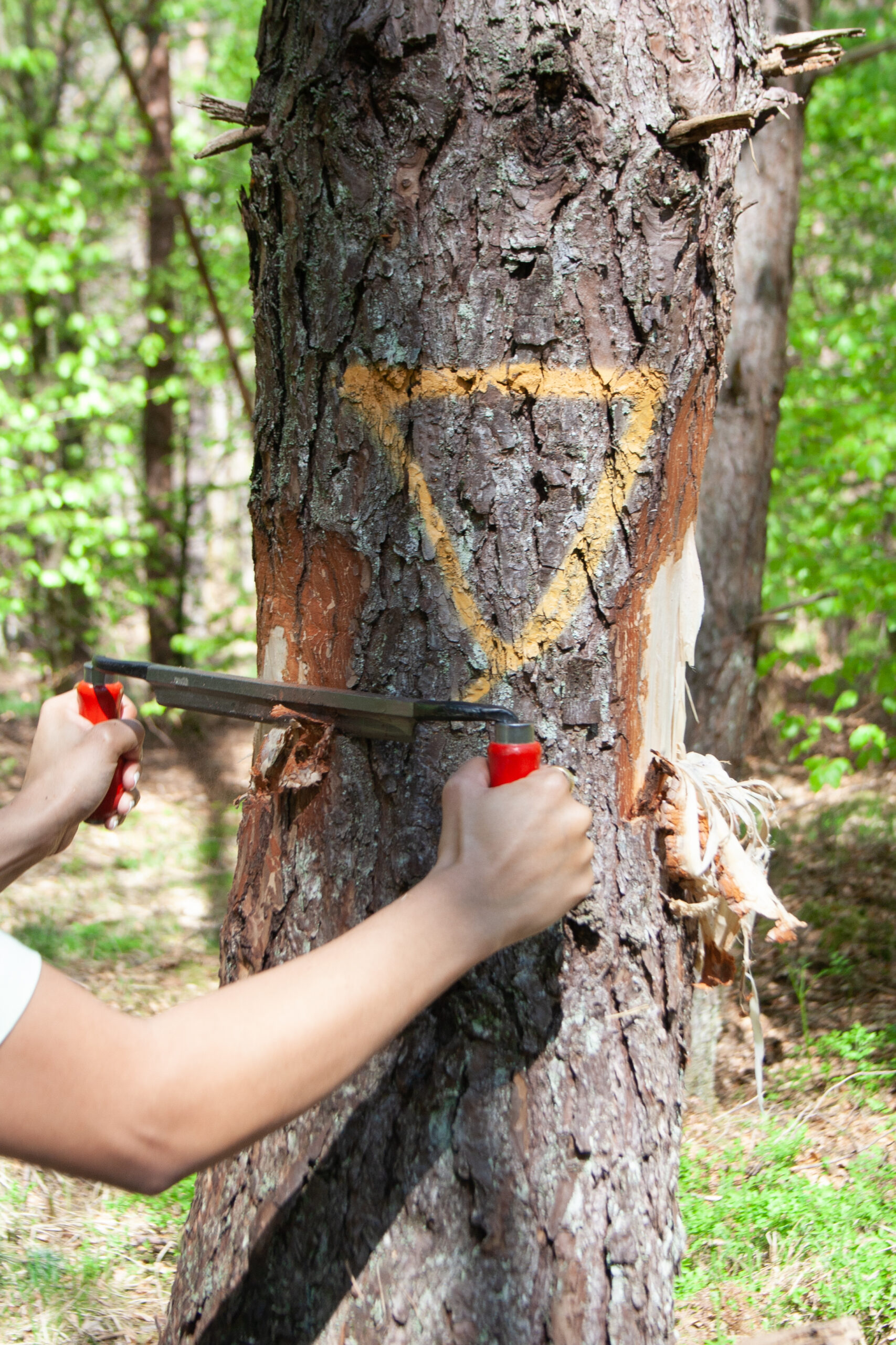 Cuisine-de-gres_Annelation_2