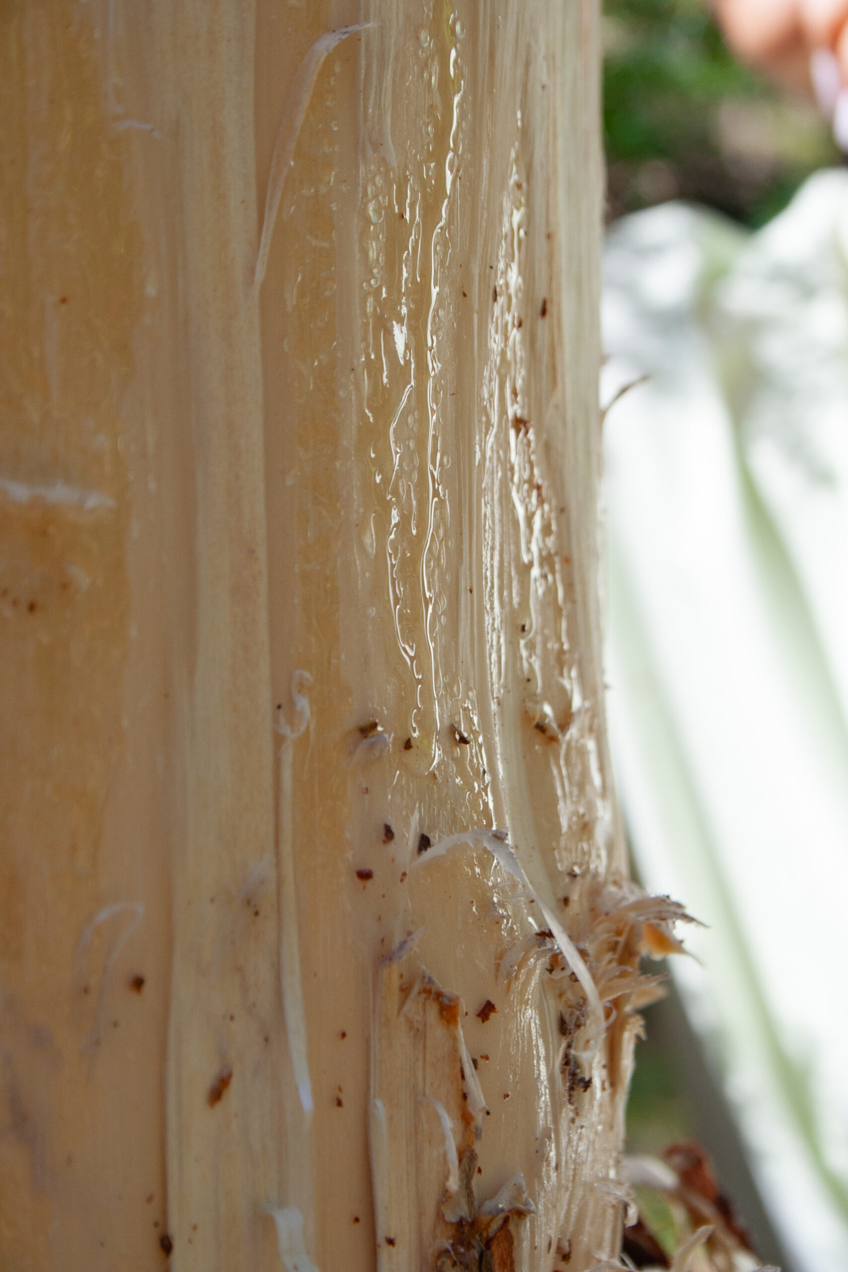 Cuisine-de-gres_Annelation_3