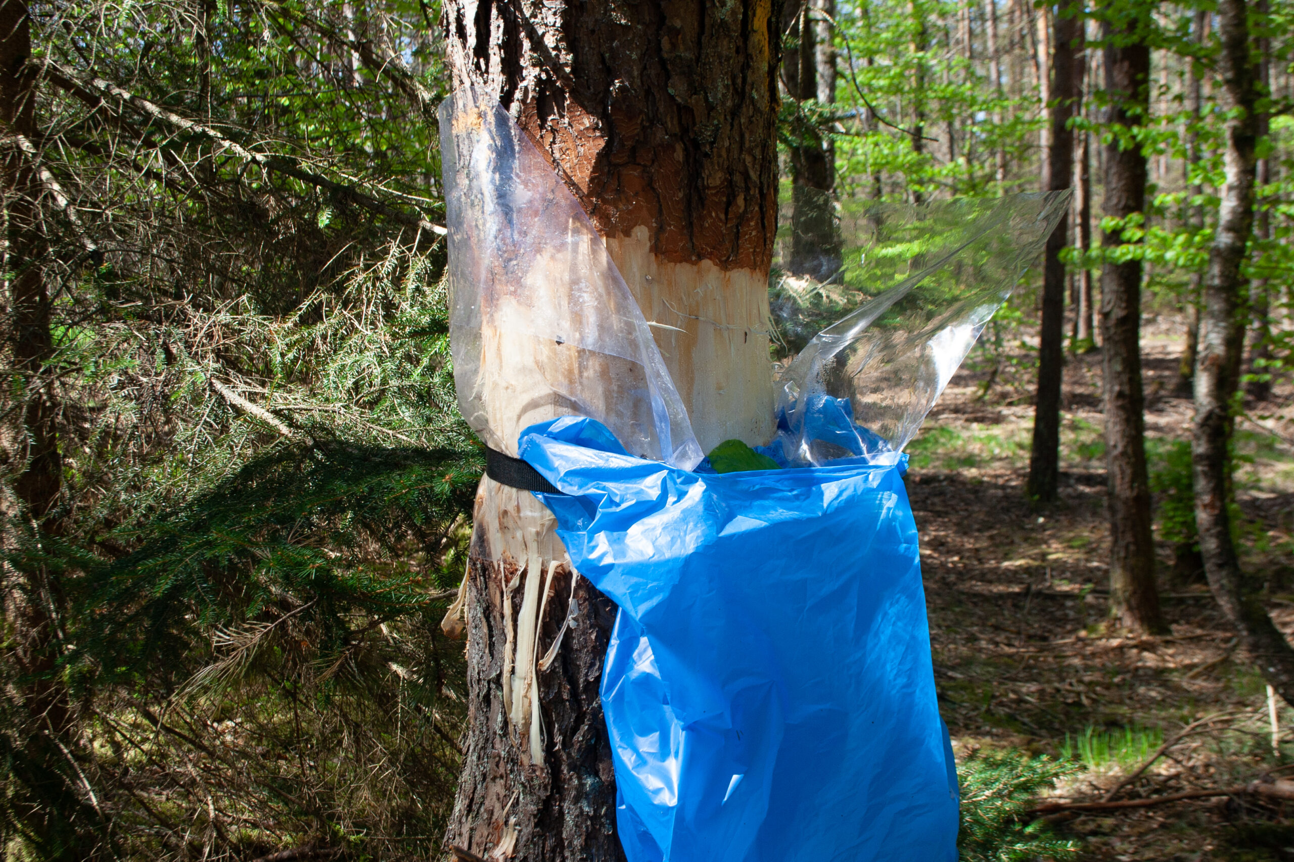 Cuisine-de-gres_Annelation_4