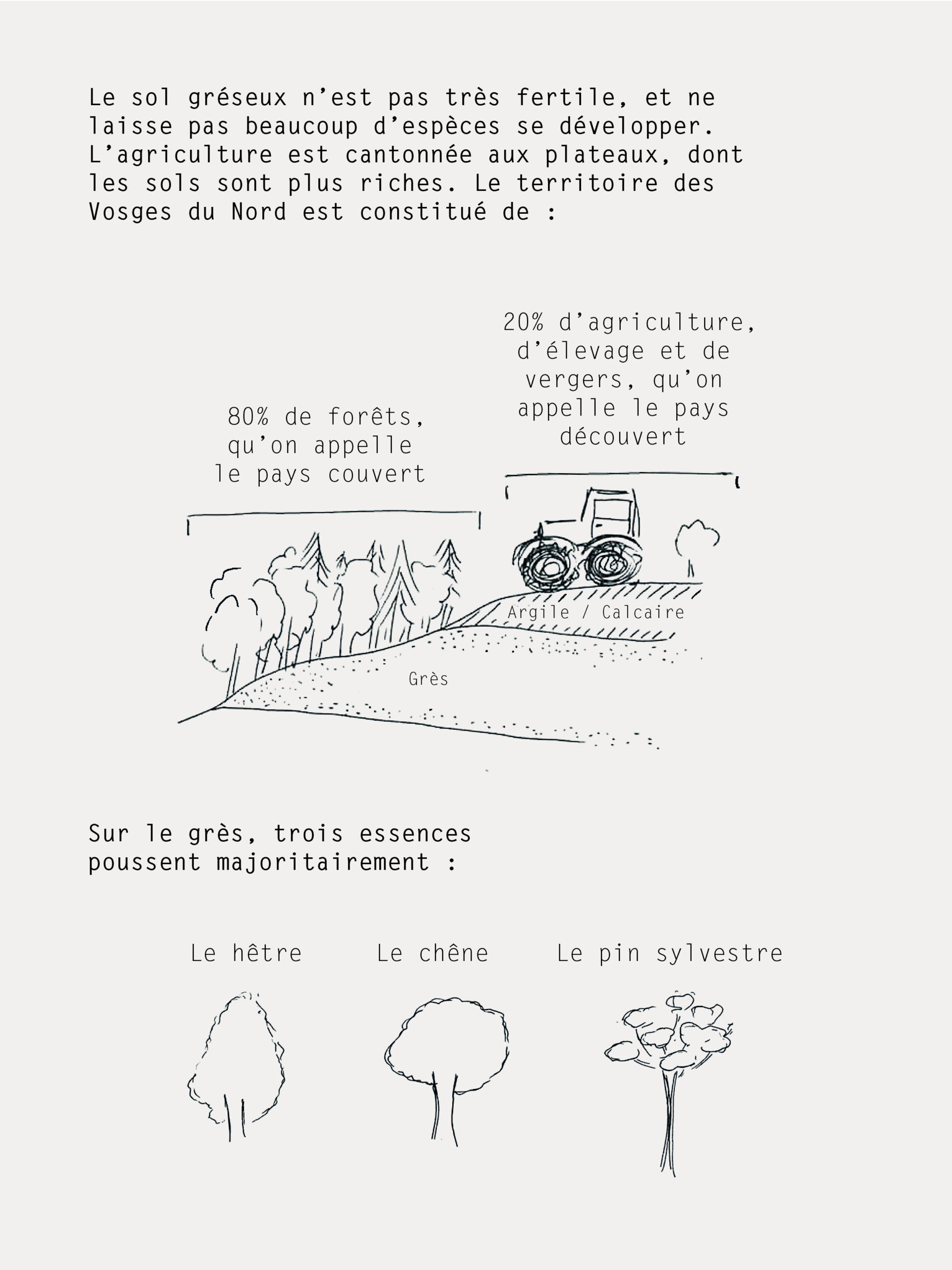 BD-gres-Vosges-du-Nord-Alice-roux2